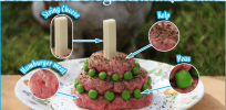 Bold Ideas How To Make A Dog Birthday Cake DIY Raw The Minidatsun Blog